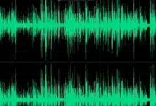 IHC PM Audio Leaks Case